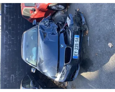 Custode arriere gauche BMW SERIE 4 F36 GRAN COUPE PHASE 1 Diesel