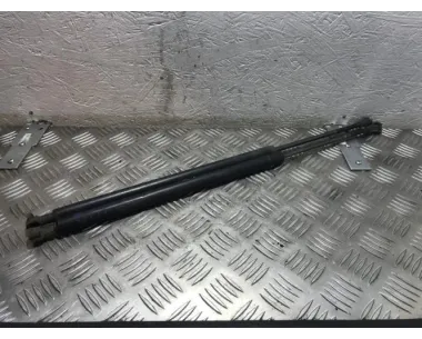 Verin de coffre BMW X5 E53 Essence