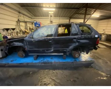 Grille de calandre gauche BMW X5 E53 Diesel