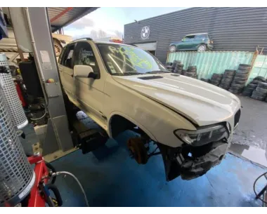 Recepteur BMW X5 E53 Diesel