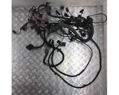 Faisceau moteur BMW X3 E83 PHASE 1 Diesel