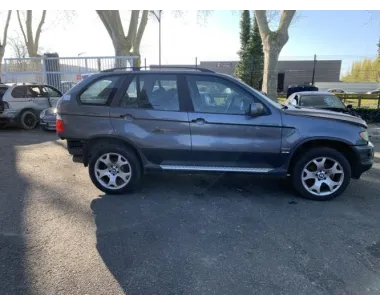 Baguette de porte arriere gauche  BMW X5 E53 Diesel