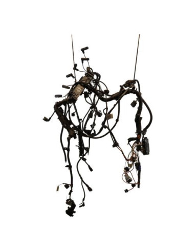 Faisceau moteur BMW X3 E83 PHASE 1 