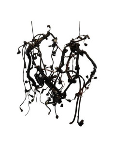 Faisceau moteur BMW SERIE 3 E46 PHASE 2 Diesel 2