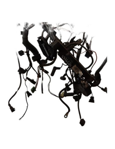 Faisceau moteur BMW SERIE 3 E46 PHASE 2 Diesel