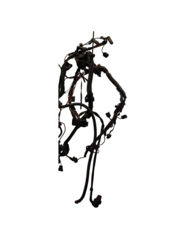 Faisceau moteur BMW SERIE 3 E46 PHASE 2 Diesel