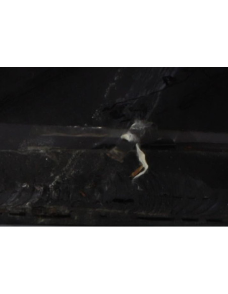 Custode arriere gauche BMW X5 E53 