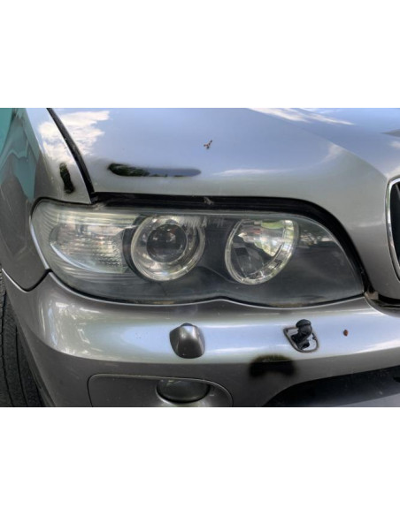 Custode arriere droit (porte) BMW X5 E53 Diesel