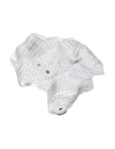 Tole pare feu BMW SERIE 1 F20 PHASE 1 Essence