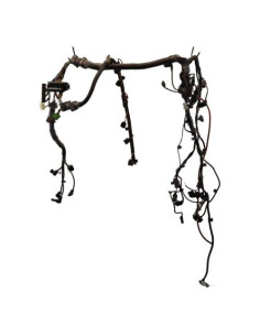 Faisceau moteur BMW X5 F15 Diesel