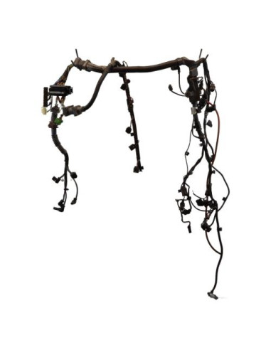 Faisceau moteur BMW X5 F15 Diesel