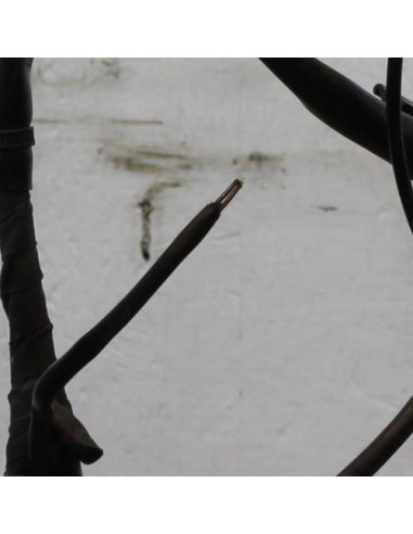 Faisceau moteur BMW X5 F15 Diesel