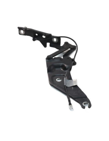 Charniere de capot BMW X5 E70 PHASE 2 Diesel