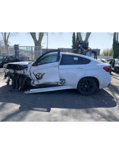 Custode arriere gauche (porte) BMW X6 F16 Diesel