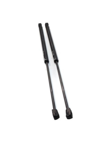 Verin de coffre BMW SERIE 3 E46 COMPACT PHASE 1 Diesel