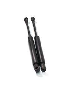 Verin de capot BMW SERIE 3 E46 COMPACT PHASE 1 Diesel 2