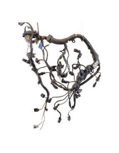 Faisceau moteur BMW Z4 E89 ROADSTER CABRIOLET Essence