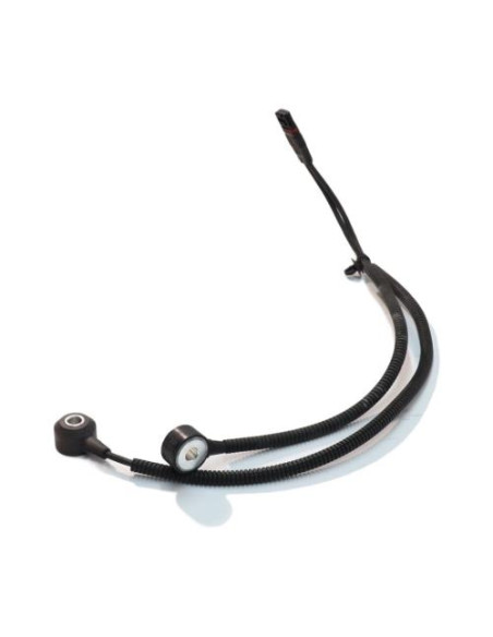 Capteur BMW Z4 E89 ROADSTER CABRIOLET Essence