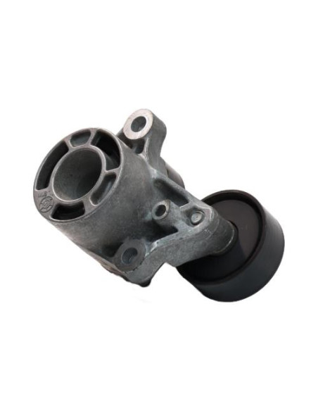 Galet tendeur BMW SERIE 1 F21 PHASE 1 Diesel