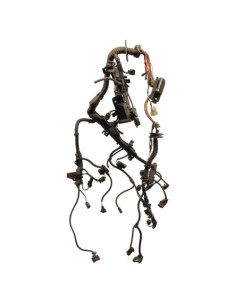 Faisceau moteur BMW SERIE 1 E87 PHASE 2 Diesel