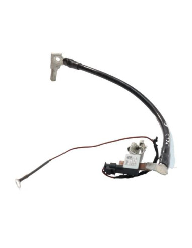 Batterie BMW SERIE 1 F40 Essence