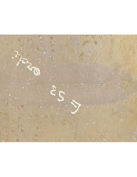 Cache sous moteur BMW X5 E53 