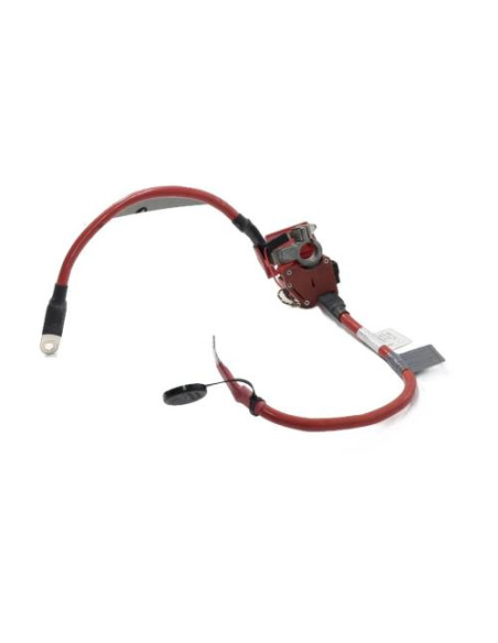 Batterie BMW SERIE 4 F32 COUPE PHASE 1 Diesel