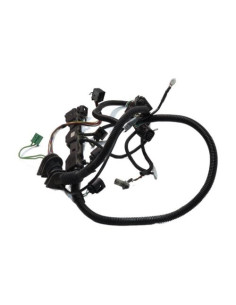 Faisceau (allumage) BMW SERIE 7 E65 PHASE 1 Essence