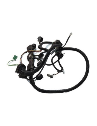 Faisceau (allumage) BMW SERIE 7 E65 PHASE 1 Essence