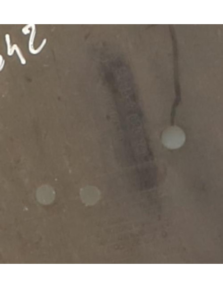 Cache sous moteur BMW SERIE 3 E90 PHASE 1 Essence