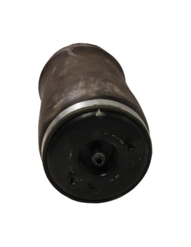 Coussin pneumatique arriere gauche BMW X5 E53 