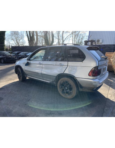Joint de porte arriere gauche BMW X5 E53 Diesel