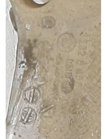 Bras de suspension arriere gauche BMW SERIE 5 F10 PHASE 2 Diesel