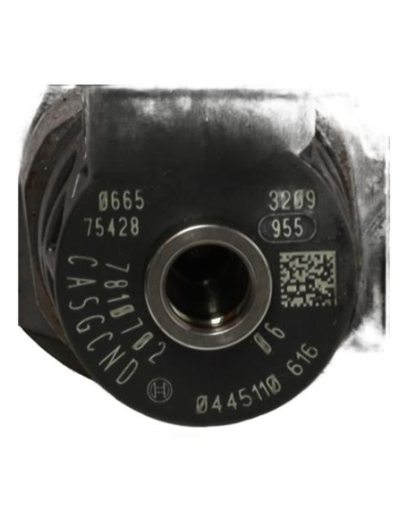 Injecteurs BMW X5 F15 Diesel