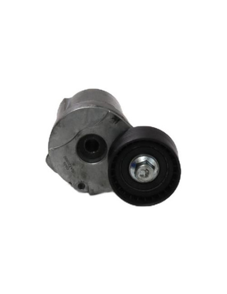 Galet tendeur BMW SERIE 1 E87 PHASE 2 Diesel