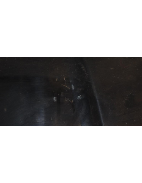 Capot BMW SERIE 5 F11 TOURING PHASE 2 BREAK 