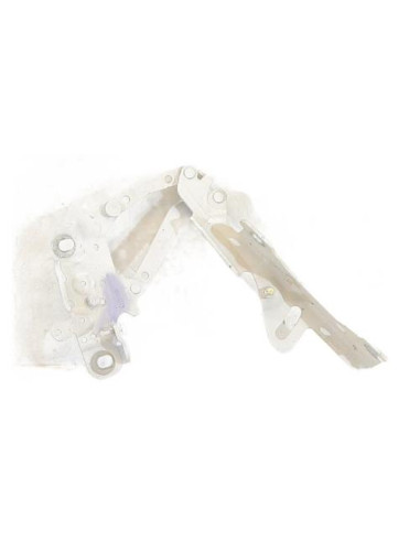 Charniere de capot BMW SERIE 1 F20 PHASE 1 Diesel