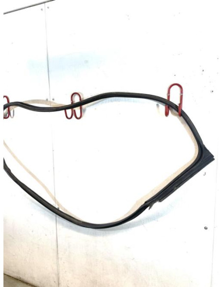 Joint de porte avant gauche MINI MINI 3 F56 PHASE 1 Essence