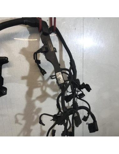 Faisceau moteur BMW SERIE 5 E60 PHASE 2 Diesel