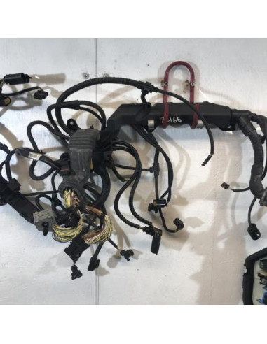 Faisceau moteur BMW SERIE 5 F10 PHASE 1 Essence