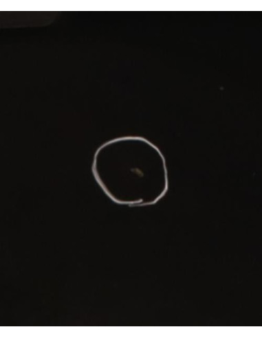 Porte arriere gauche BMW X5 E70 PHASE 2 Diesel