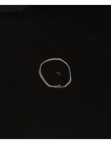 Porte arriere gauche BMW X5 E70 PHASE 2 Diesel