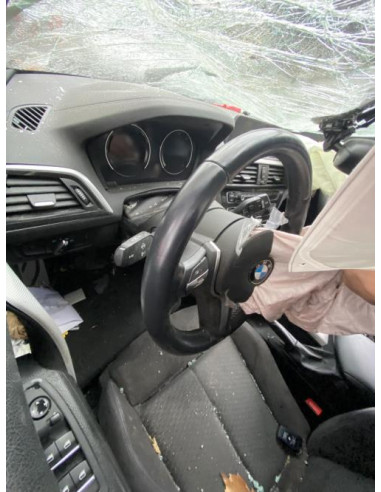 Poignee interieur avant gauche BMW SERIE 1 F20 PHASE 2 Essence