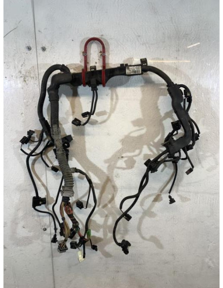 Faisceau moteur BMW SERIE 3 E92 COUPE PHASE 2 Diesel