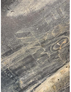 Pare boue avant gauche BMW SERIE 5 F90 PHASE 2 Essence