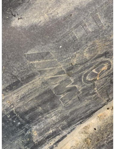 Pare boue avant gauche BMW SERIE 5 F90 PHASE 2 Essence