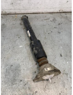 Amortisseur arriere gauche BMW SERIE 1 F21 PHASE 1 Essence