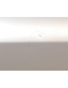 Porte arriere gauche BMW X3 E83 PHASE 2 Diesel 2