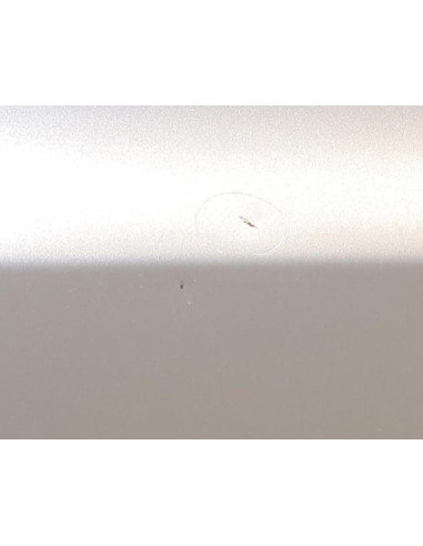 Porte arriere gauche BMW X3 E83 PHASE 2 Diesel