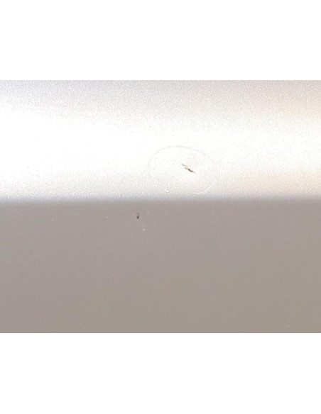 Porte arriere gauche BMW X3 E83 PHASE 2 Diesel